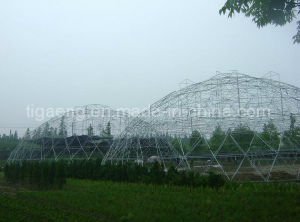 Chalet de la estructura de acero de Prebuilt/corte/cancha de b&aacute;squet/gimnasio del balompi&eacute;