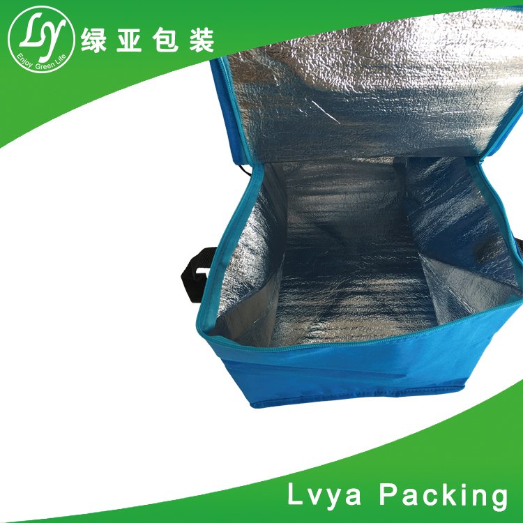 Wholesale Customized Brand Top Quality Cooler Bag