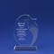 Etched Round Shooting Star Crystal Trophy for Stellar Employees (#78051)