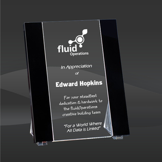 Crystal Vision Stand Award (T-NVAS810)