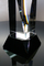 Orion Crystal Presidents Award Trophies