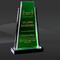 Green Palms Crystal Award (T-WPAM611)