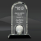 Archway Crystal Globe Award (J-CRY318)