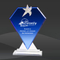 Blue Crystal Star Award (DMC-DCA173BSX, DMC-DCA174BSX, DMC-DCA175BSX)