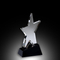 Superstar Elite Crystal Award (#E2957)