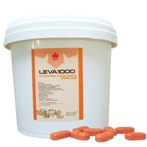 LEVA 1000