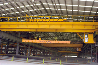 Overhead Crane with Carrier Beam