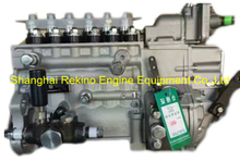 BP2086 612601080385 Longbeng fuel inejction pump for Weichai WP10.310NE31