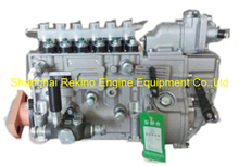 BP20042 612601080757 Longbeng fuel injection pump for Weichai WP10D264E200