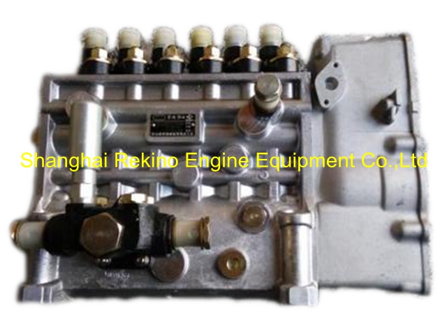 BP6137 BHT6P9150L6115 Longbeng fuel injection pump for Zichai Z6170ZLCZ-19