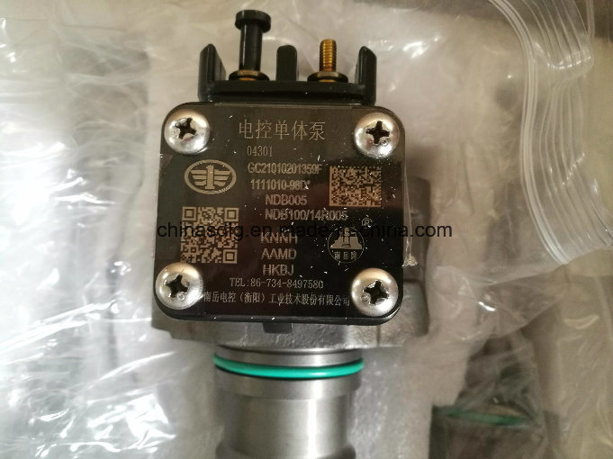 Fuel Injection Pump (unit pump) 4110001009024 Shandong Lingong