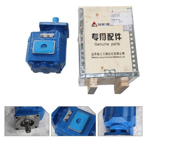 Gear Pump 4120001968 for Sdlg 956 Wheel Loader
