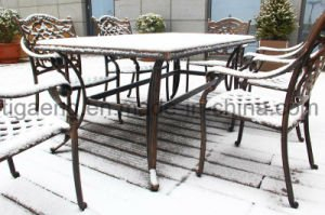 Decking en plastique en bois du compos&eacute; WPC d'installation commode recyclable pour l'Europe