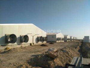 Structure m&eacute;tallique pr&eacute;fabriqu&eacute;e durable de Chambre de poulet pour la volaille