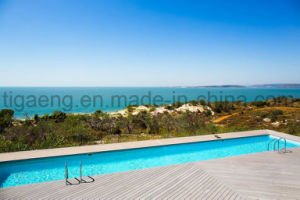 Anti &eacute;tage amical aux pieds nus de Decking de la glissade WPC pour la piscine