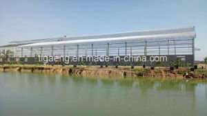 Plan empresarial galvanizado de la granja av&iacute;cola del marco en vertiente de las ovejas del maharashtra