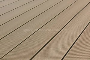 Tabl&oacute;n de madera del suelo del HDPE del pl&aacute;stico Decking/WPC de la resistencia del moho