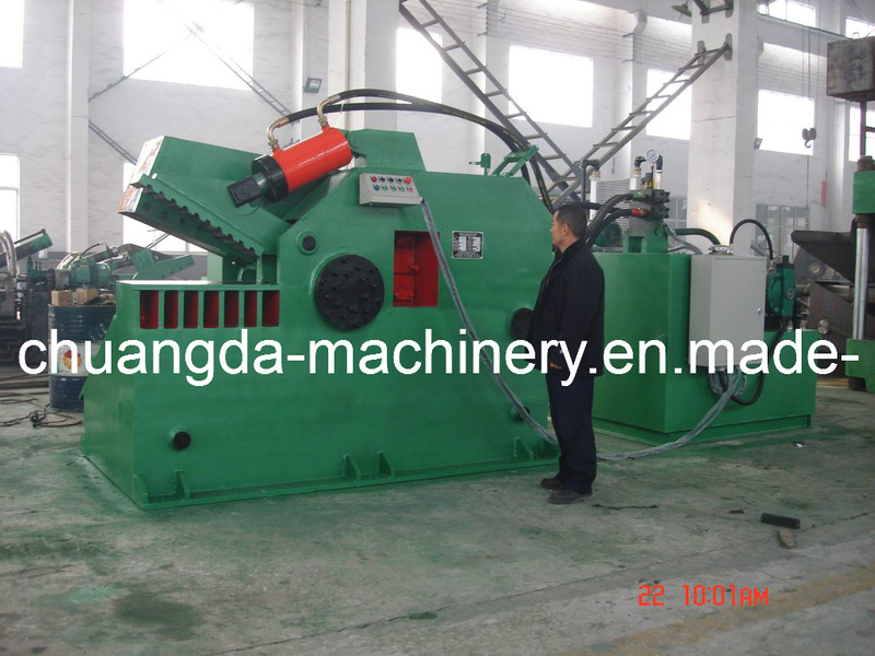 Hydraulic Alligator Shear (FJD6000)