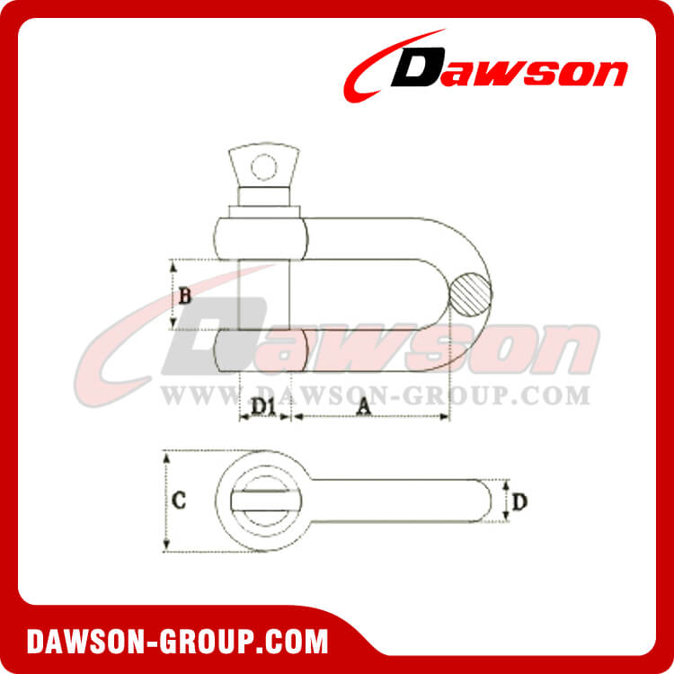 Grillete tipo Dee de acero inoxidable de EE. UU. - Dawson Group Ltd. - Fabricante, proveedor y f&aacute;brica de China