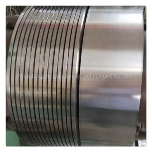 High Precision Thin Stainless Steel Strip Roll for Flexible Metal Hose