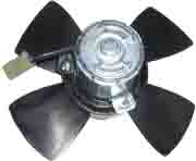 Electric Fan