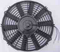 Electric Fan