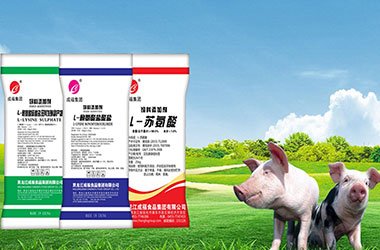 Tongda Enterprises Company Limited