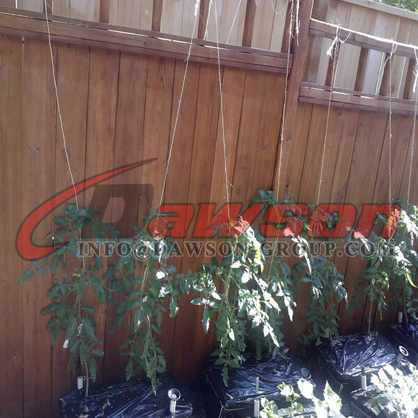 Сельскохозяйственная веревка - Dawson Group Ltd. - Китайский производитель, поставщик, завод