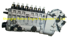 BP6901 817023170001 Longbeng fuel injection pump for Weichai 8170ZC600-1