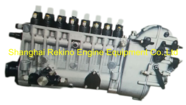 BP6901 817023170001 Longbeng fuel injection pump for Weichai 8170ZC600-1