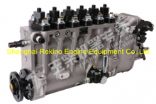 BP3505 CL200-1111100A-C27 CL200-1111100SF1-C27 Longbeng fuel injection pump for Yuchai YC6CL