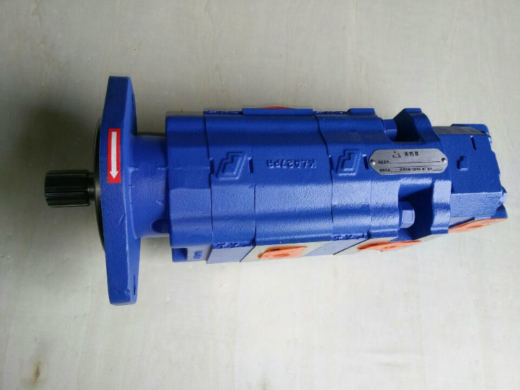 Genuine B877 Backhoe Loader Spare Part Gear Pump 4120005404