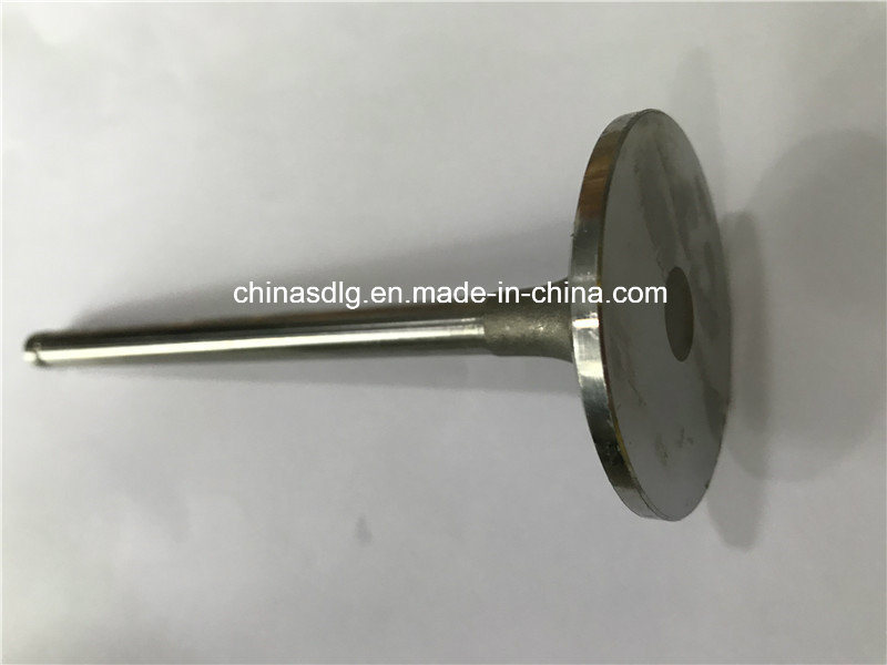 Intake Valve D04-110-33 Shangchai Spare Parts