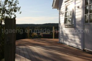 &Eacute;preuve de rouille de surface de nature de bonne qualit&eacute; et Decking de l'&eacute;preuve WPC d'insecte