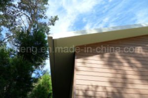 Panneau de mur d&eacute;coratif fabriqu&eacute; facile recyclable de l'&eacute;preuve WPC de termite