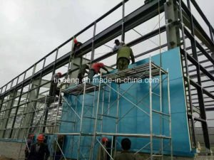 Construction multi de structure m&eacute;tallique d'envergure de ferme de poulet d'&eacute;preuve de rouille