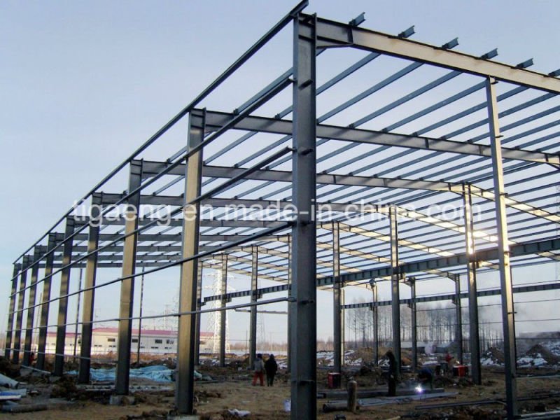 High Rise Space Frame Steel Structure Godown Design for Philippines