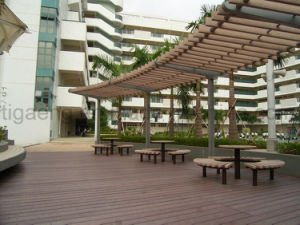 Jard&iacute;n decorativo reanudable Pavillion de la instalaci&oacute;n de la prueba f&aacute;cil WPC de la termita