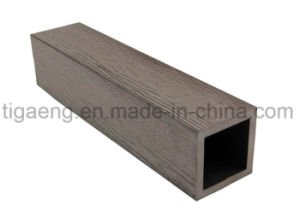 Pasillo del uso de la instalaci&oacute;n WPC/cerca al aire libre r&aacute;pidos reciclables del mirador