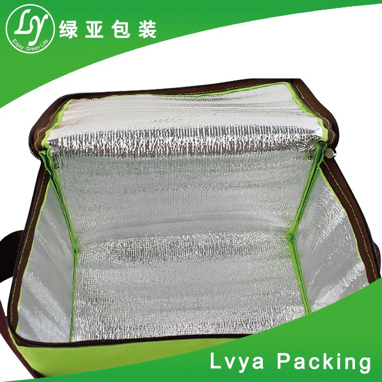 disposable cooler bags