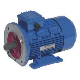 IEC -general purpose - Electric Motors -Three-Phase - Aluminium Frame