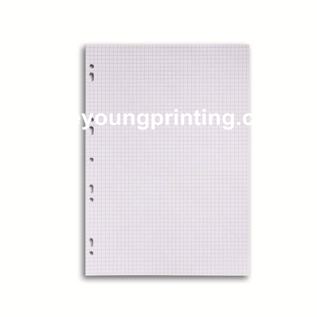 A4 loose leaf seyes and 5*5 square 100 pages feuillets mobiles grands carreaux perforation