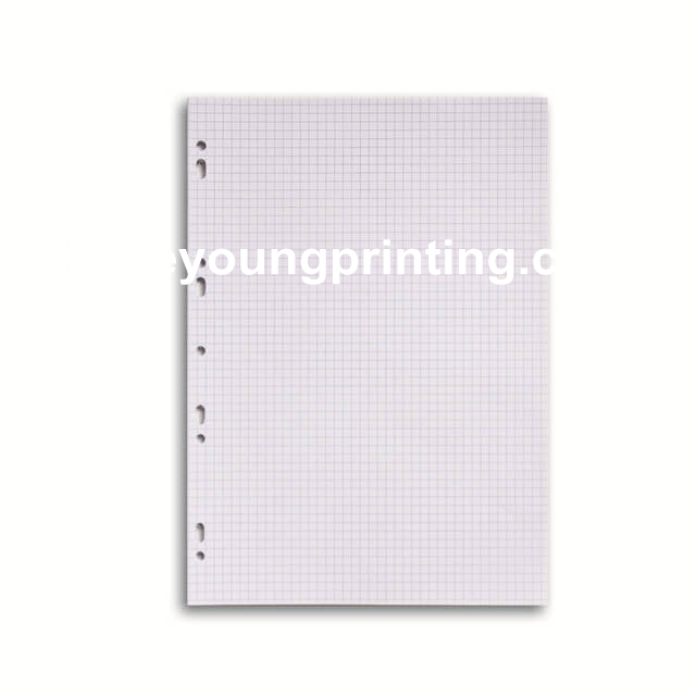 Sachet de 100 pages copies simples grand format A4 petits carreaux 5x5 70g  perforées ≡ CALIPAGE