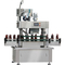 XG-100 linear capping machine 