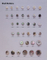 Shell Button