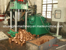 Copper Briquetting Press/Hydraulic Briquetting Press (SBJ3600)