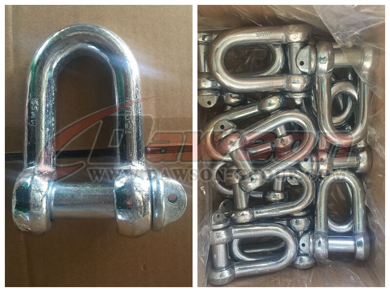 DS ディー シャックル - DAWSON GROUP LTD.- 中国のメーカー、サプライヤー、工場