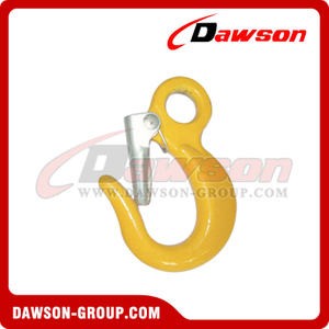 DS114 Alloy Eye Hook with Latch