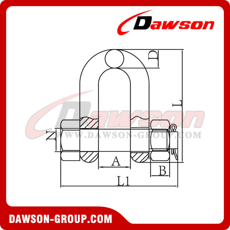 DS363 高強度ボルトタイプディーシャックル - DAWSON GROUP LTD.- 中国のメーカー、サプライヤー、工場