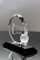 Optic Crystal Golf Award for Corporations Trophies